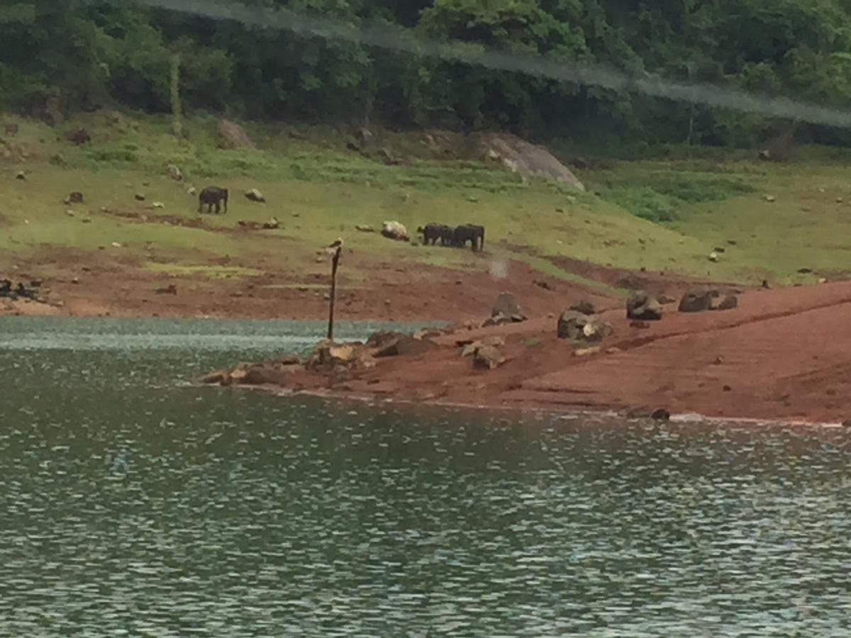 Kandamath Heritage Resort Kolattupuzha 외부 사진